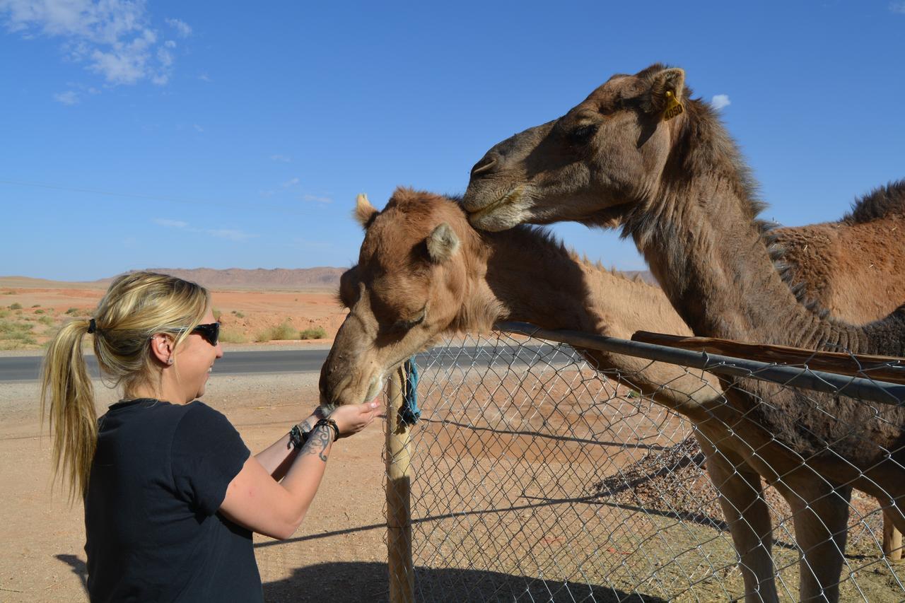 Kasbah Luna Del Sur Erfoud Eksteriør bilde